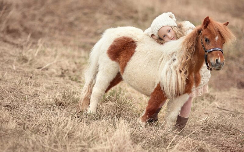 Girl Hugging Pony — Brown