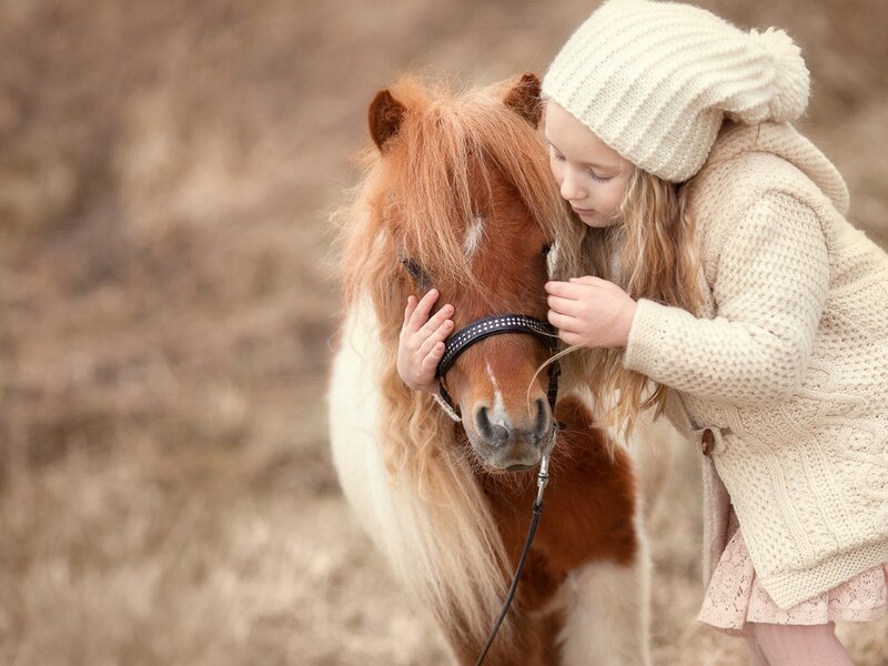 Girl Hugging Pony