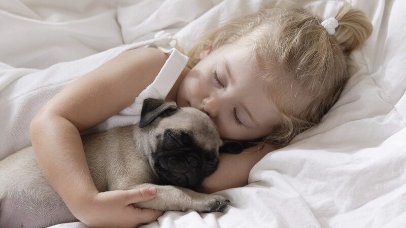Girl Hugging Pug Puppy