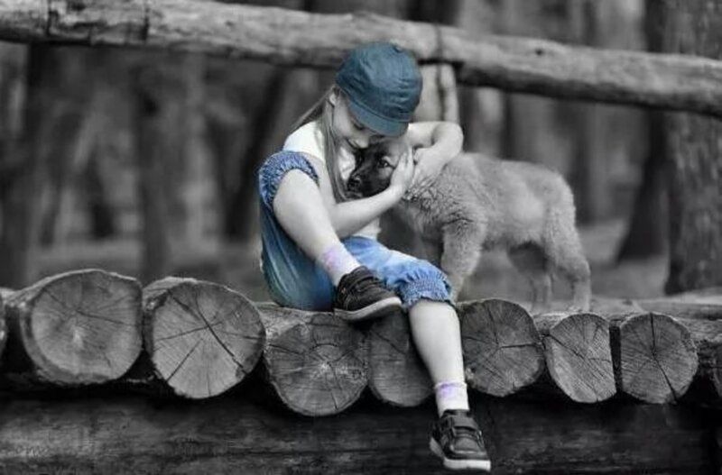 Girl Hugging Puppy — Blue