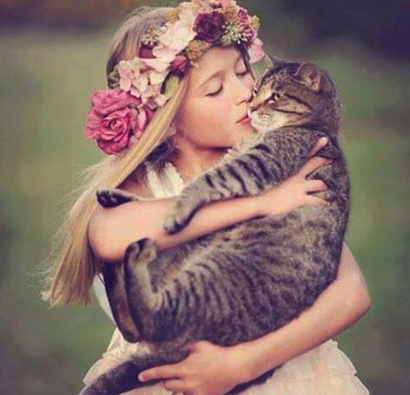 Girl Hugging Tabby Cat