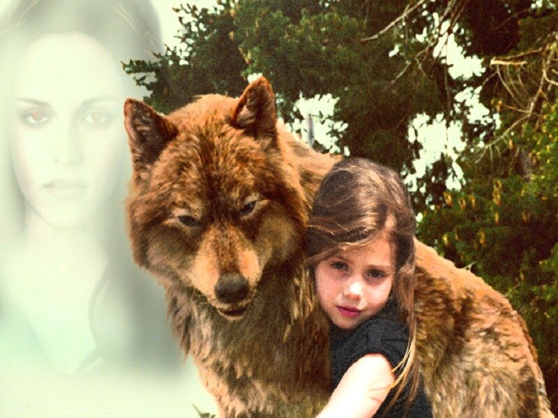 Girl Hugging Wolf — Brown
