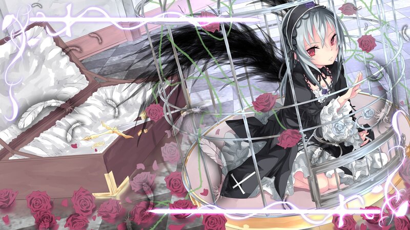 girl in a birdcage with roses