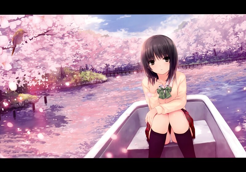 Girl in a boat under cherry blossoms