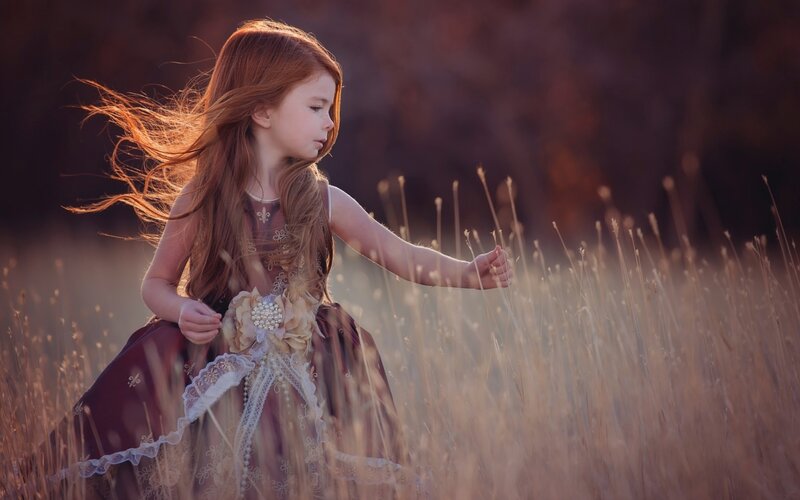 Girl in a Field — Brown, Serene, Sunset, Photograph
