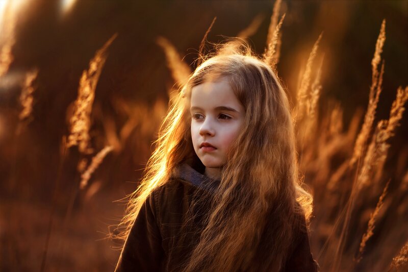 Girl in a Field — Brown, Serene, Sunset