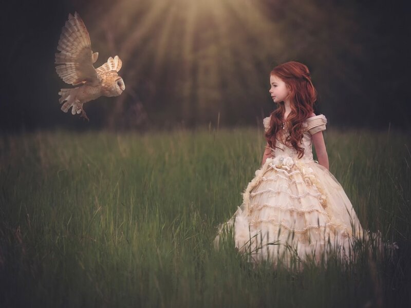 Girl in a Field — Green, Serene, Sunset, Photograph