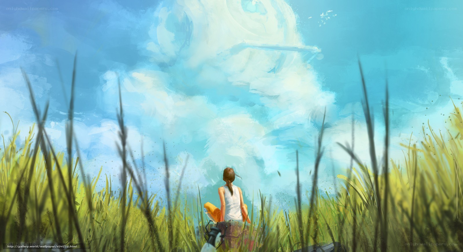 Girl in a field under a cloudy sky