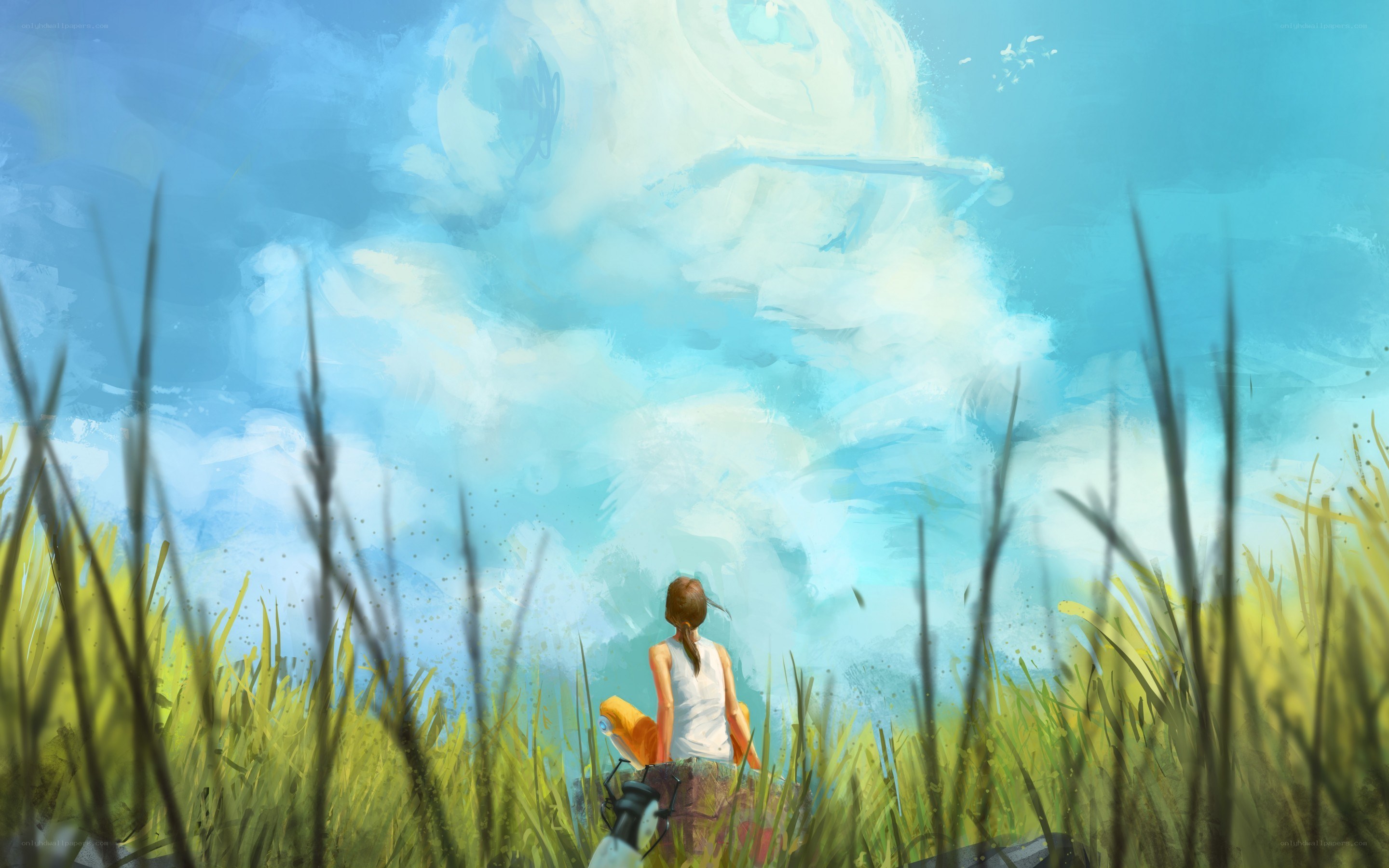 Girl in a field under clouds