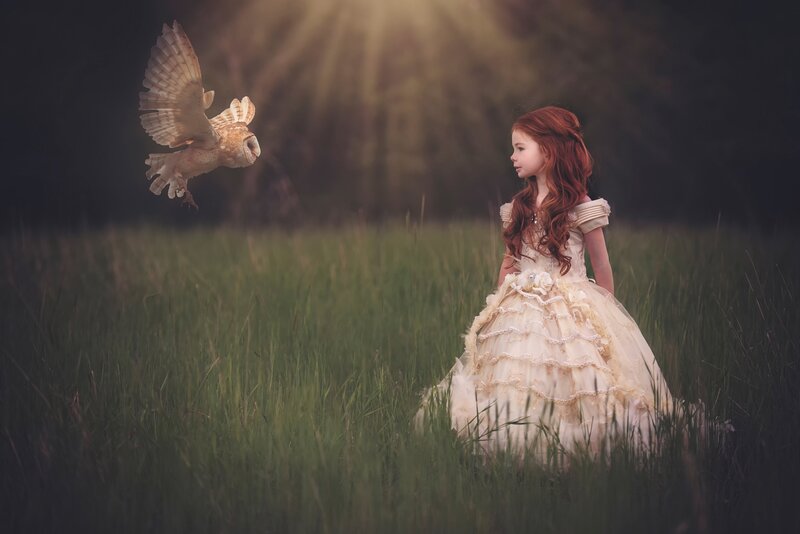 Girl in a Field with an Owl