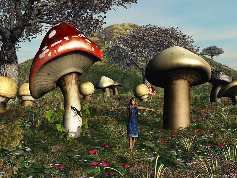 Girl in a mushroom forest