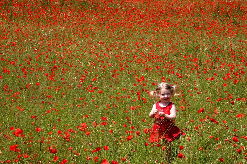 Girl in a poppy field