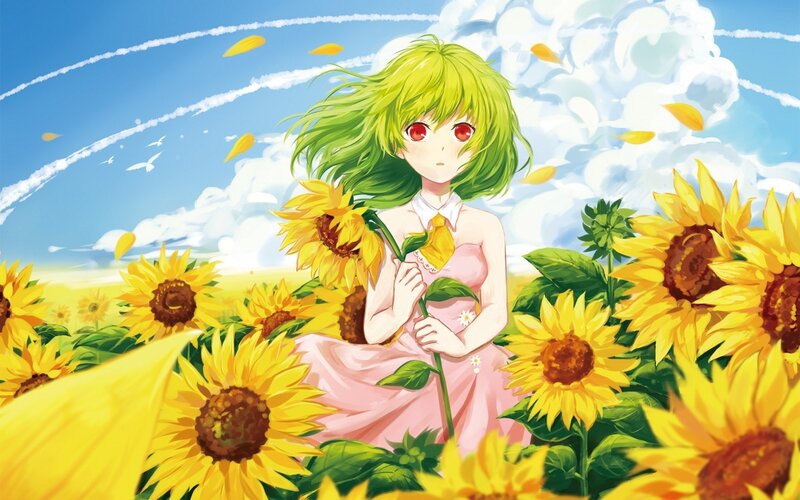 Girl in a sunflower field
