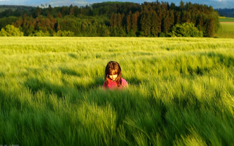Girl in a Wheat Field — Green