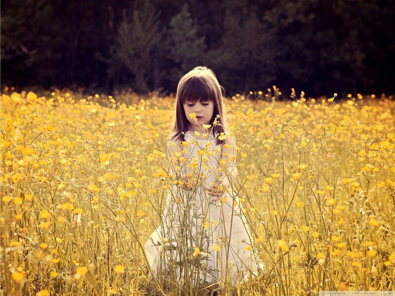 Girl in a yellow flower field