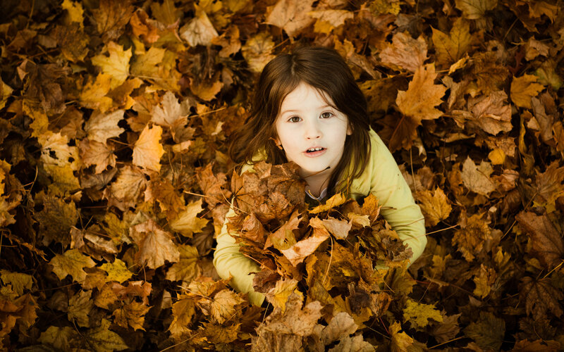 Girl in Autumn Leaves — Brown