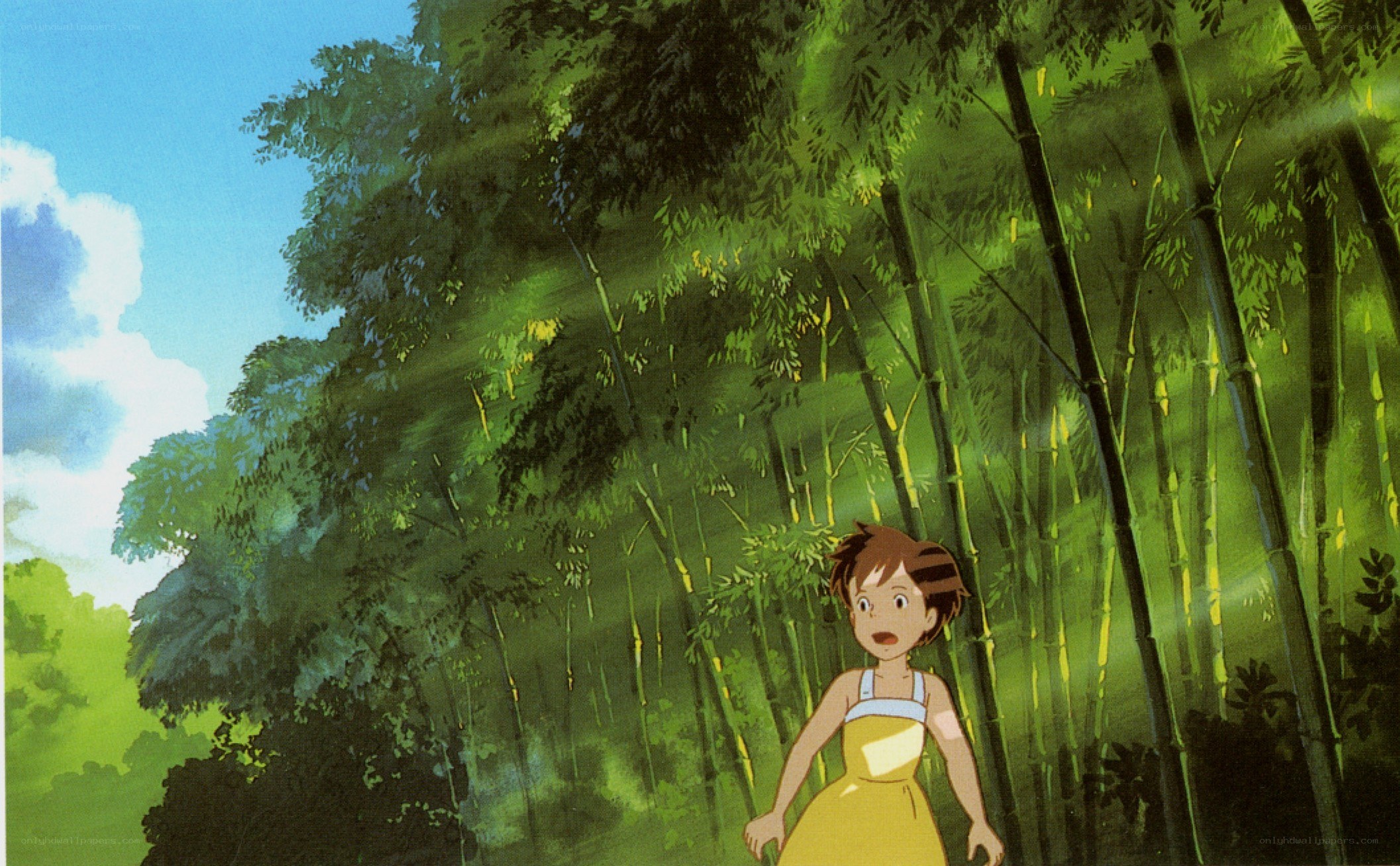 girl in bamboo forest