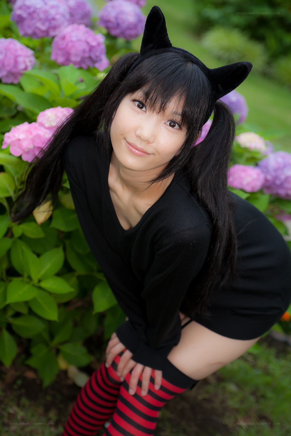 girl in cat ears with hydrangeas