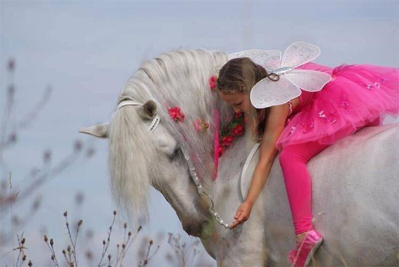Girl in Fairy Costume — Pink, Serene
