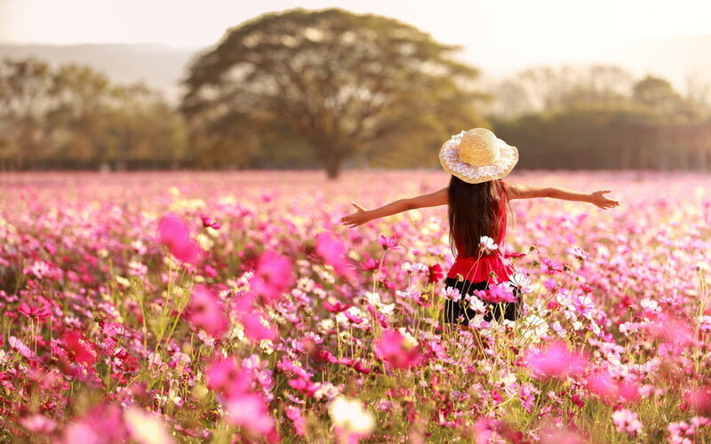 Girl in Flower Field — Pink, Serene, Afternoon