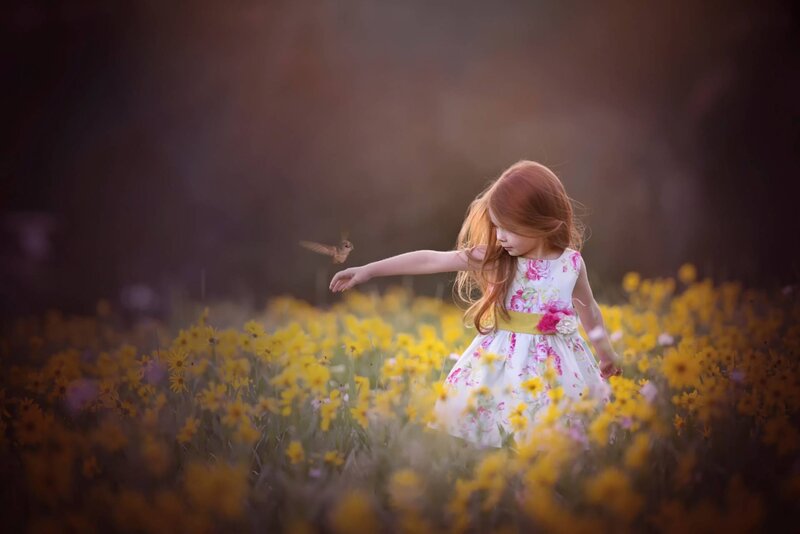 Girl in Flower Field — Yellow, Serene, Sunset, Photograph