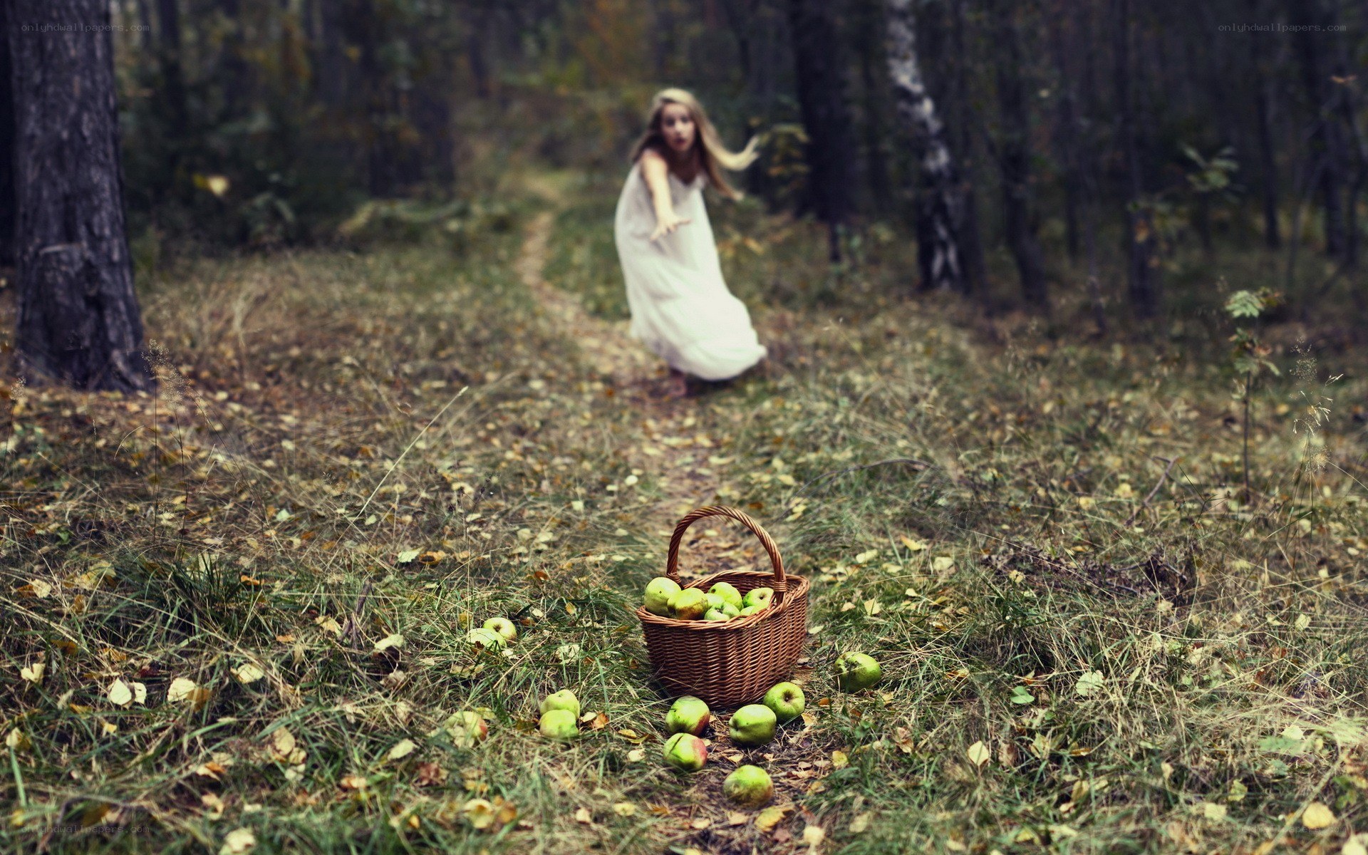 Girl in forest with apples