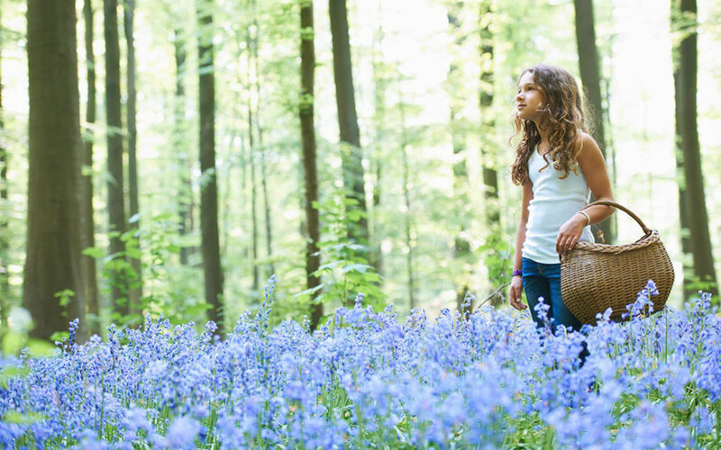 Girl in Forest with Basket — Blue