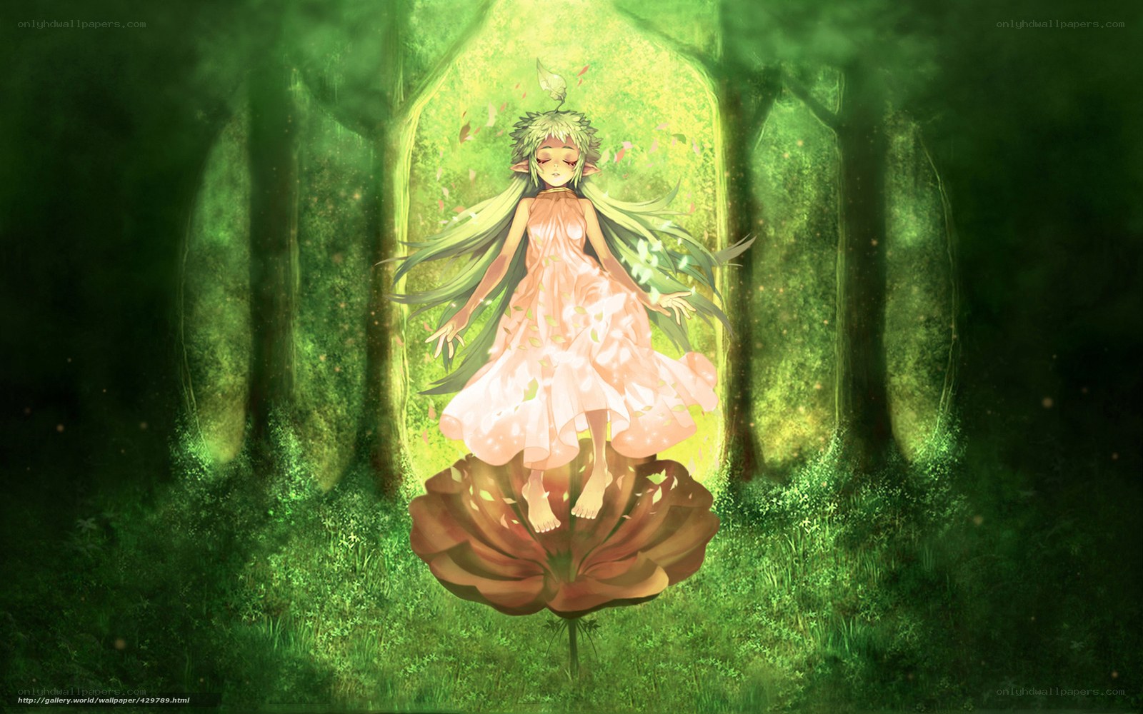 girl in forest with flower