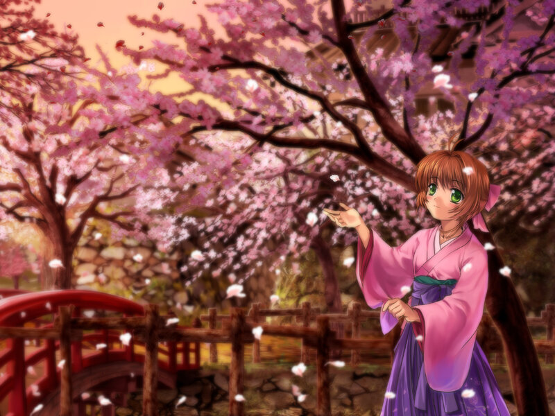 girl in kimono under cherry blossoms