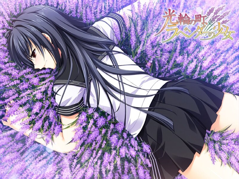 girl in lavender field