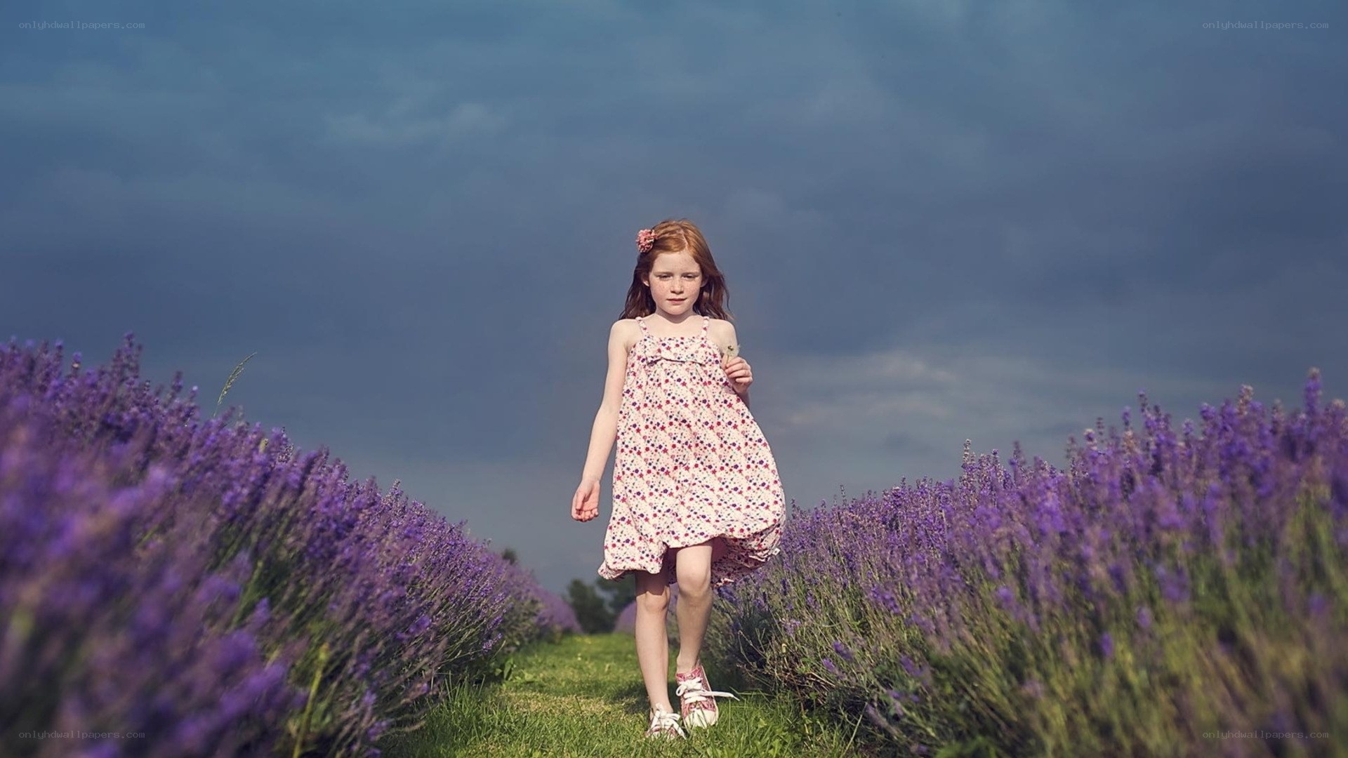 Girl in lavender field