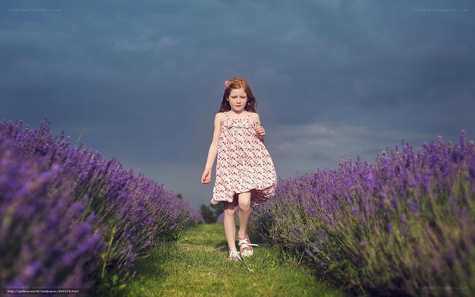 Girl in lavender field