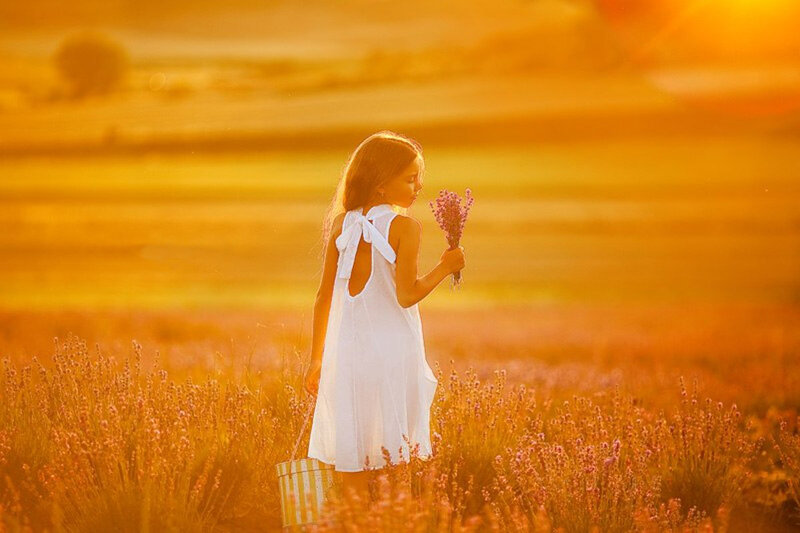 Girl in Lavender Field — Gold