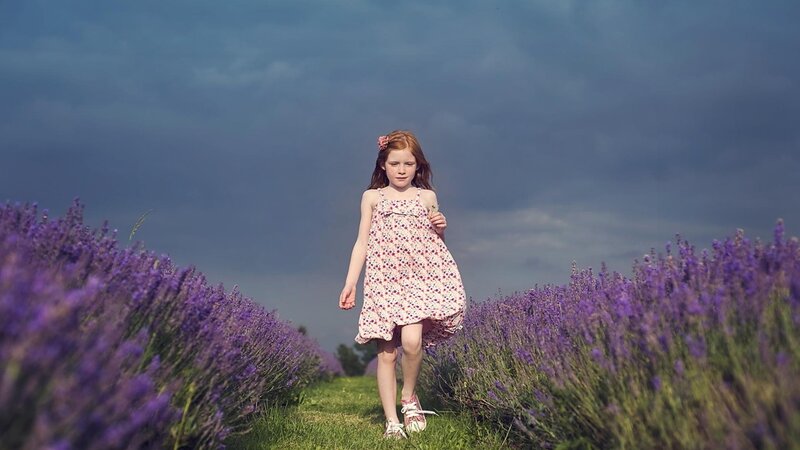 Girl in Lavender Field — Purple, Dramatic, Afternoon, Photograph
