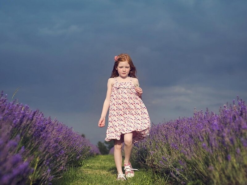 Girl in Lavender Field — Purple, Dramatic