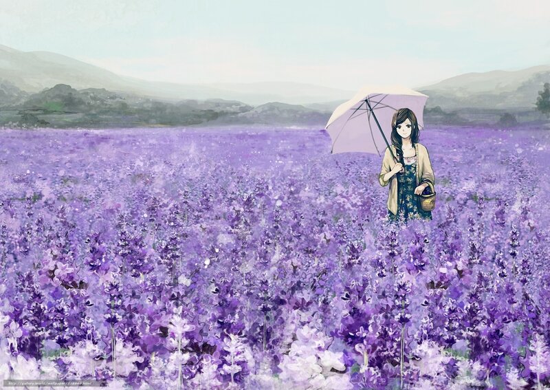 Girl in Lavender Field — Purple, Serene, Afternoon, Digital Art, Umbrella, Basket