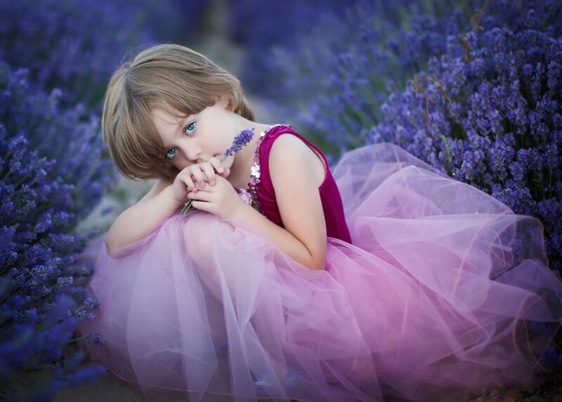 Girl in Lavender Field — Purple, Serene, Afternoon, Photograph, Dress, Flower