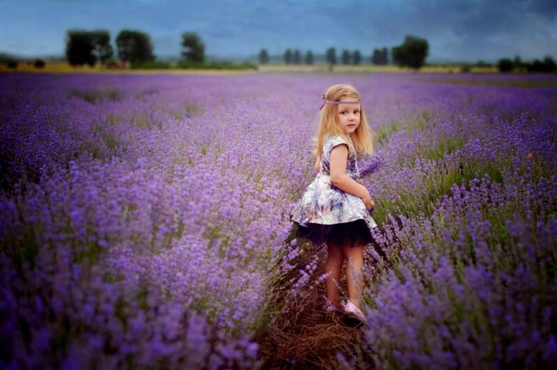 Girl in Lavender Field — Purple, Serene, Afternoon, Photograph, Sky