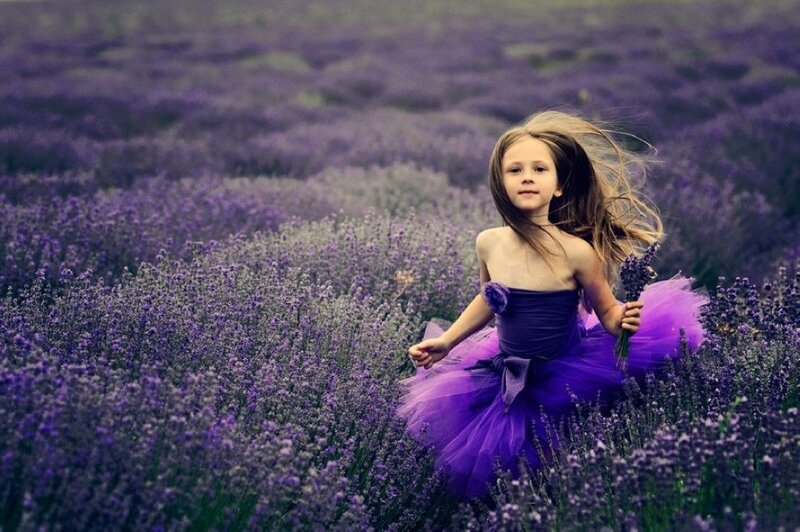 Girl in Lavender Field — Purple, Serene, Afternoon