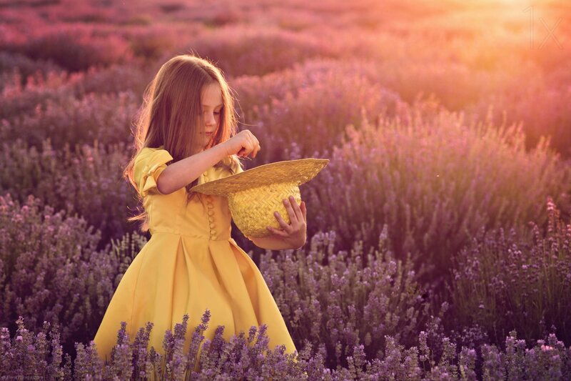 Girl in Lavender Field — Yellow