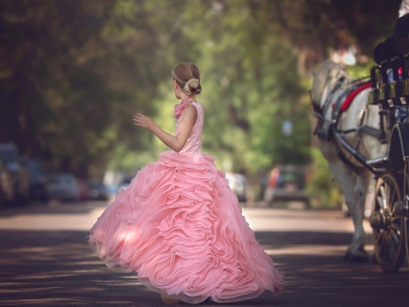 Girl in Pink Dress — Serene, Afternoon, Photograph, Horse