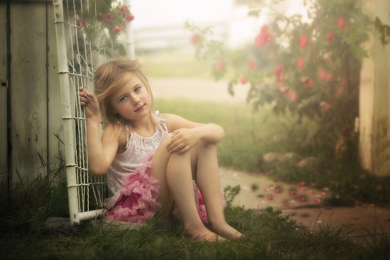 Girl in Pink Dress — Serene, Afternoon, Photograph, Roses, Fence