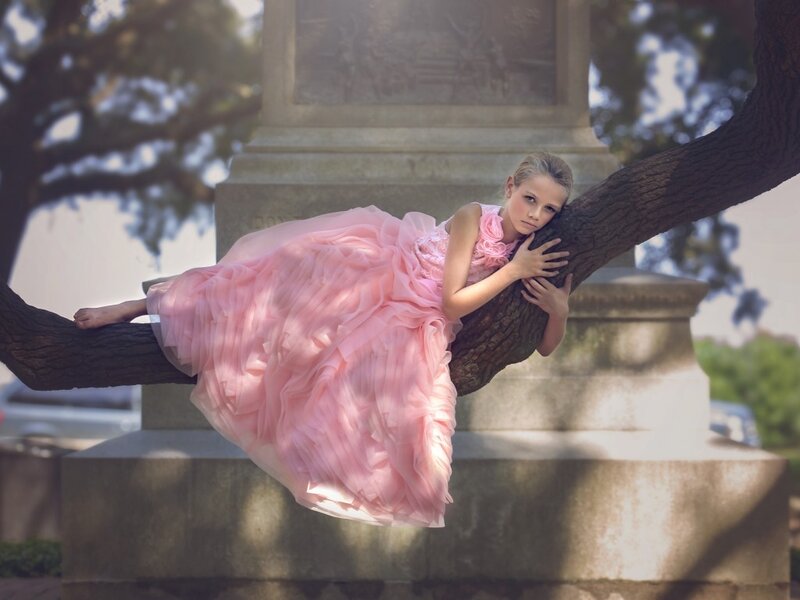 Girl in Pink Dress — Serene, Afternoon, Photograph, Tree Branch