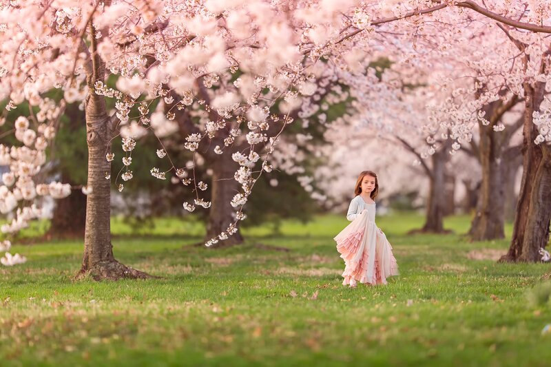Girl in Pink Dress — Serene, Spring, Photograph, Cherry Blossoms