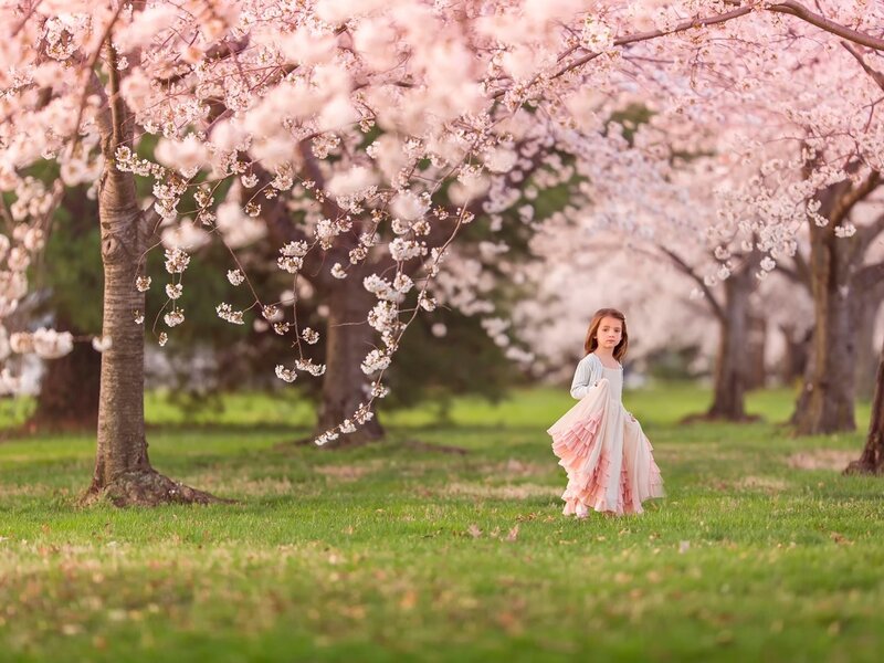 Girl in Pink Dress — Serene, Spring, Photograph