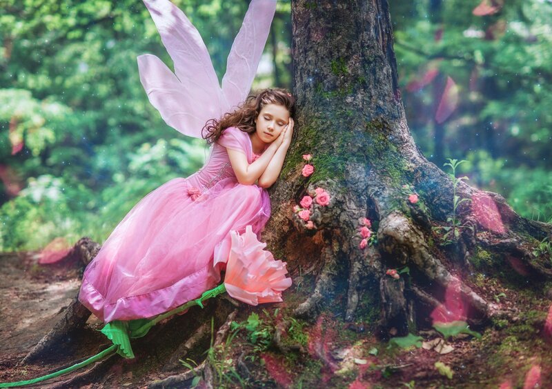 Girl in Pink Fairy Costume