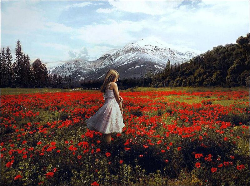 Girl in Poppy Field — Red, Serene, Afternoon