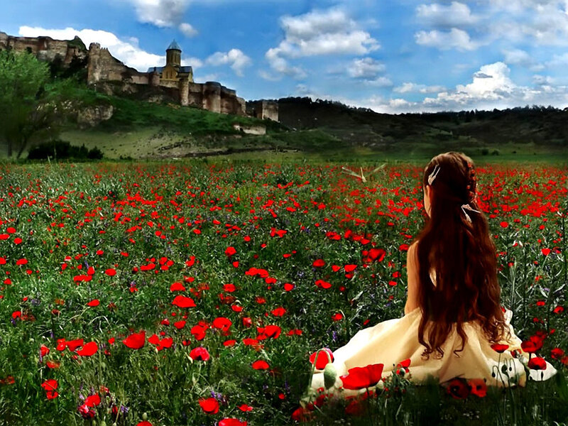 Girl in Poppy Field — Red