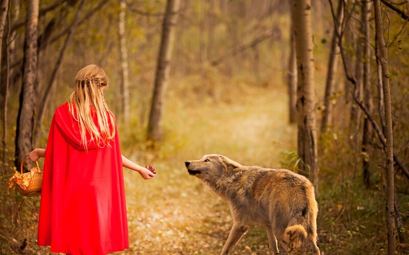Girl in Red Cloak — Serene, Autumn