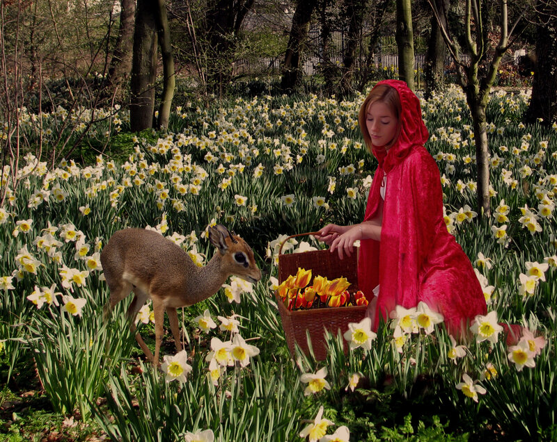 Girl in Red Cloak — Serene, Spring